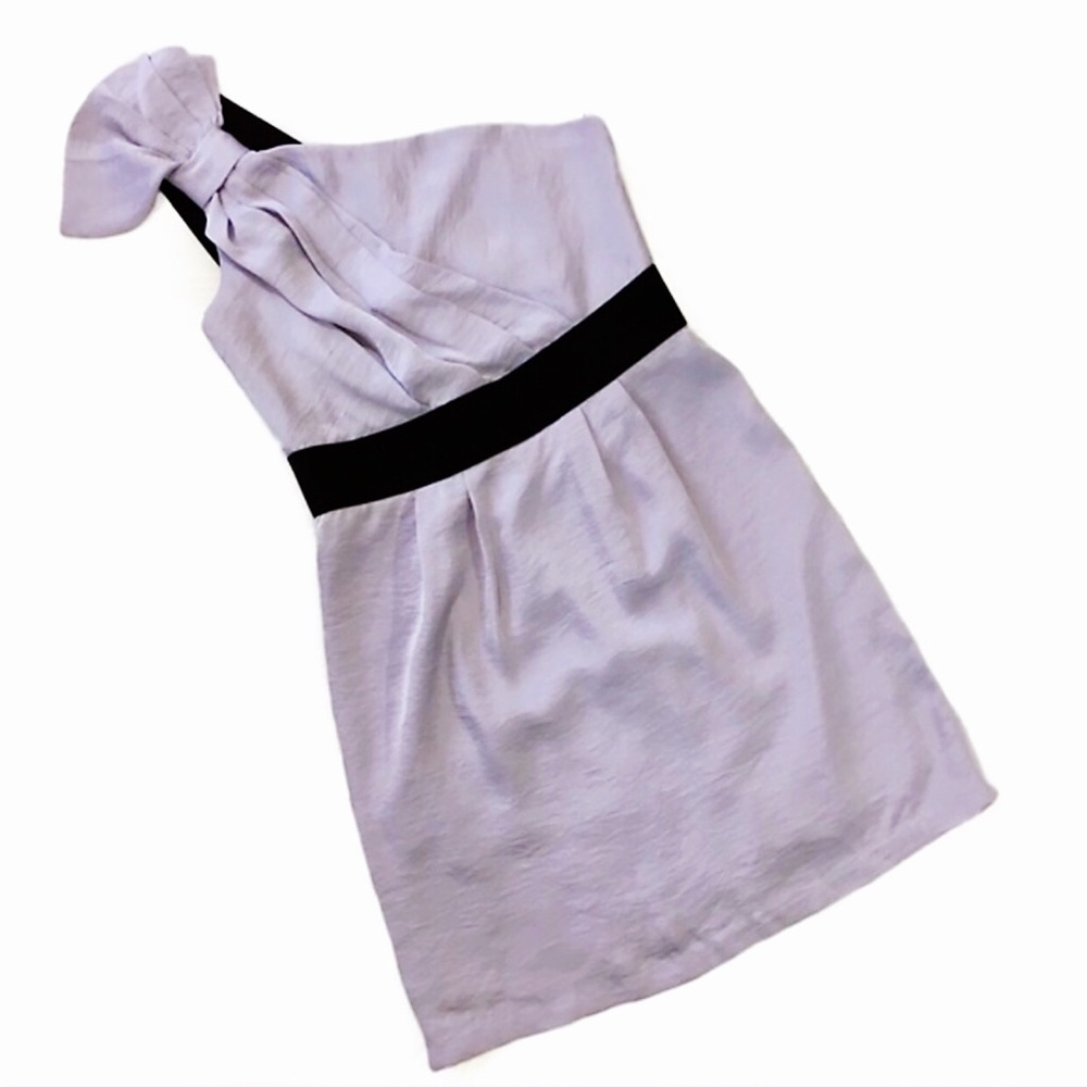 Pretty BCBG Lilacbreze Cocktail Dress Size 4 NWT!